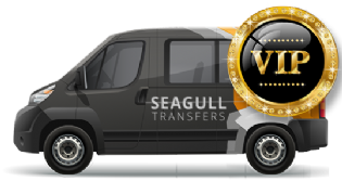 Vip 3 People Minibus